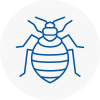 Bed Bug Extermination In Aveley