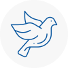 Bird Prevention Aveley