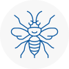 Aveley Hornet Nest Removals