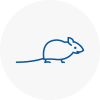 Mice Exterminators In Aveley