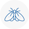 Moth Control Specialists In Aveley