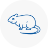 Rat Control Aveley