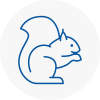 Aveley Rodent Removals