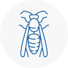 Aveley Wasp Nest Removal